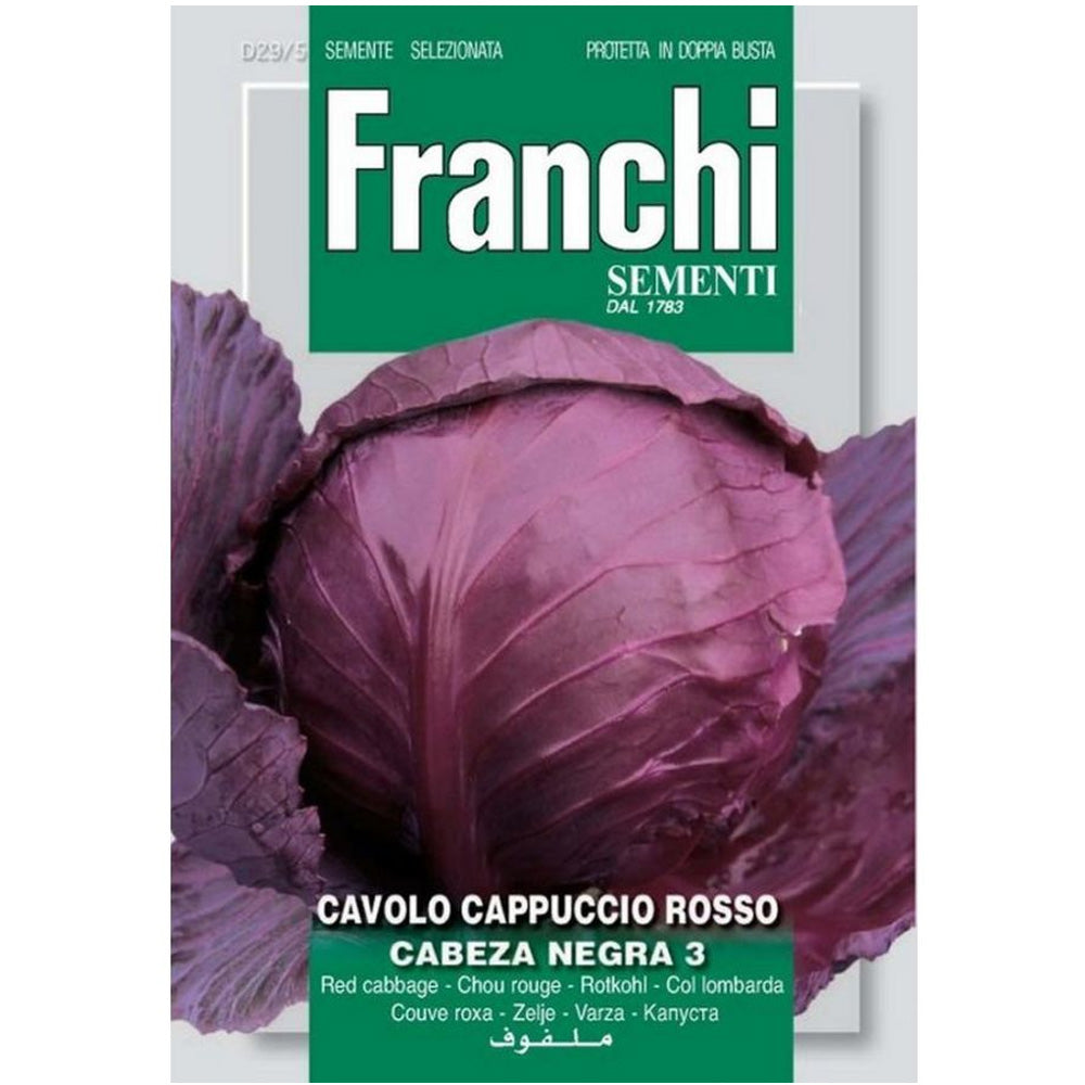 SEMI DI CAVOLO CAPPUCCIO ROSSO TESTA NERA 3