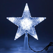 PUNTALE STELLA LUMINOSA 10 LED BIANCO FREDDO