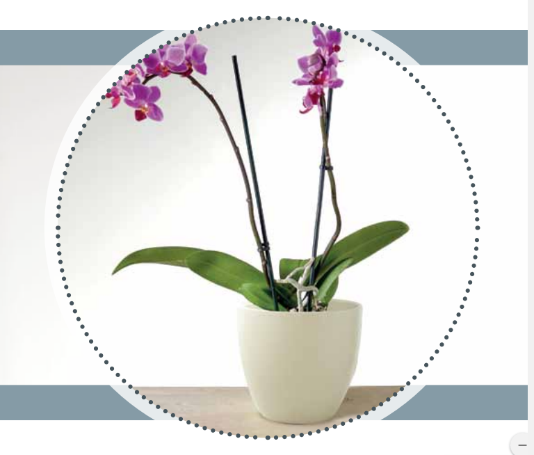 PORTAVASO CERAMICO BIANCO PER ORCHIDEE H11,5 DMAX 11CM