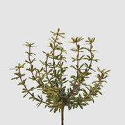 CESPUGLIO ARTIFICIALE DI PORTULACCA H27CM CON BACCHE ARANCIONI