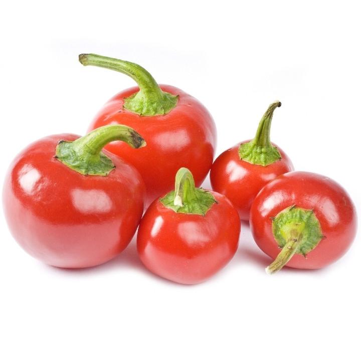 3 PIANTE IN VASO Ø10CM DI PEPERONE CHERRY SMALL TONDO