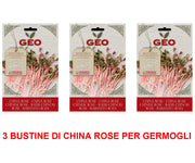 3 CONFEZIONI DI SEMI BIO DI CHINA ROSE PER GERMOGLI 20GR