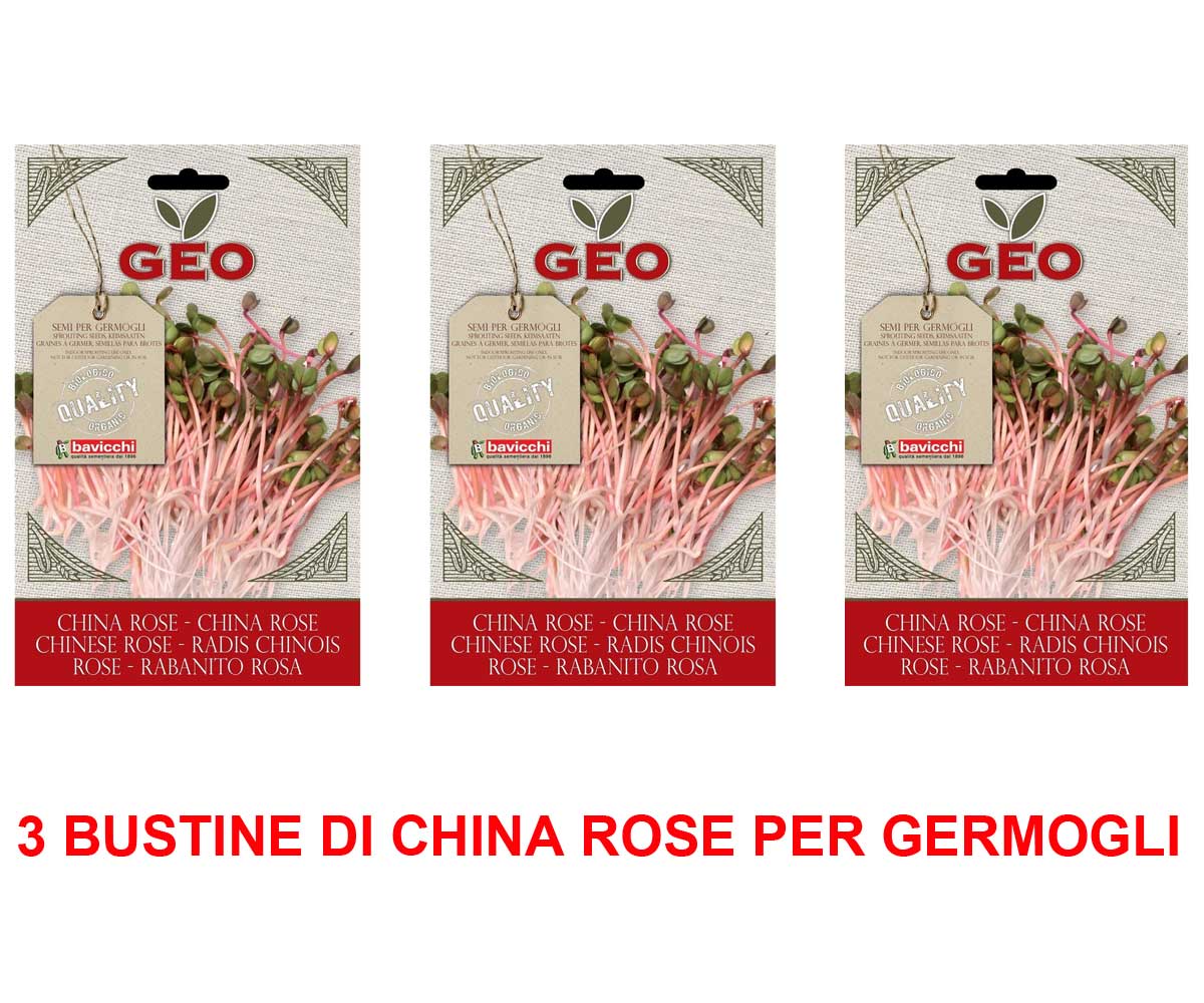 3 CONFEZIONI DI SEMI BIO DI CHINA ROSE PER GERMOGLI 20GR
