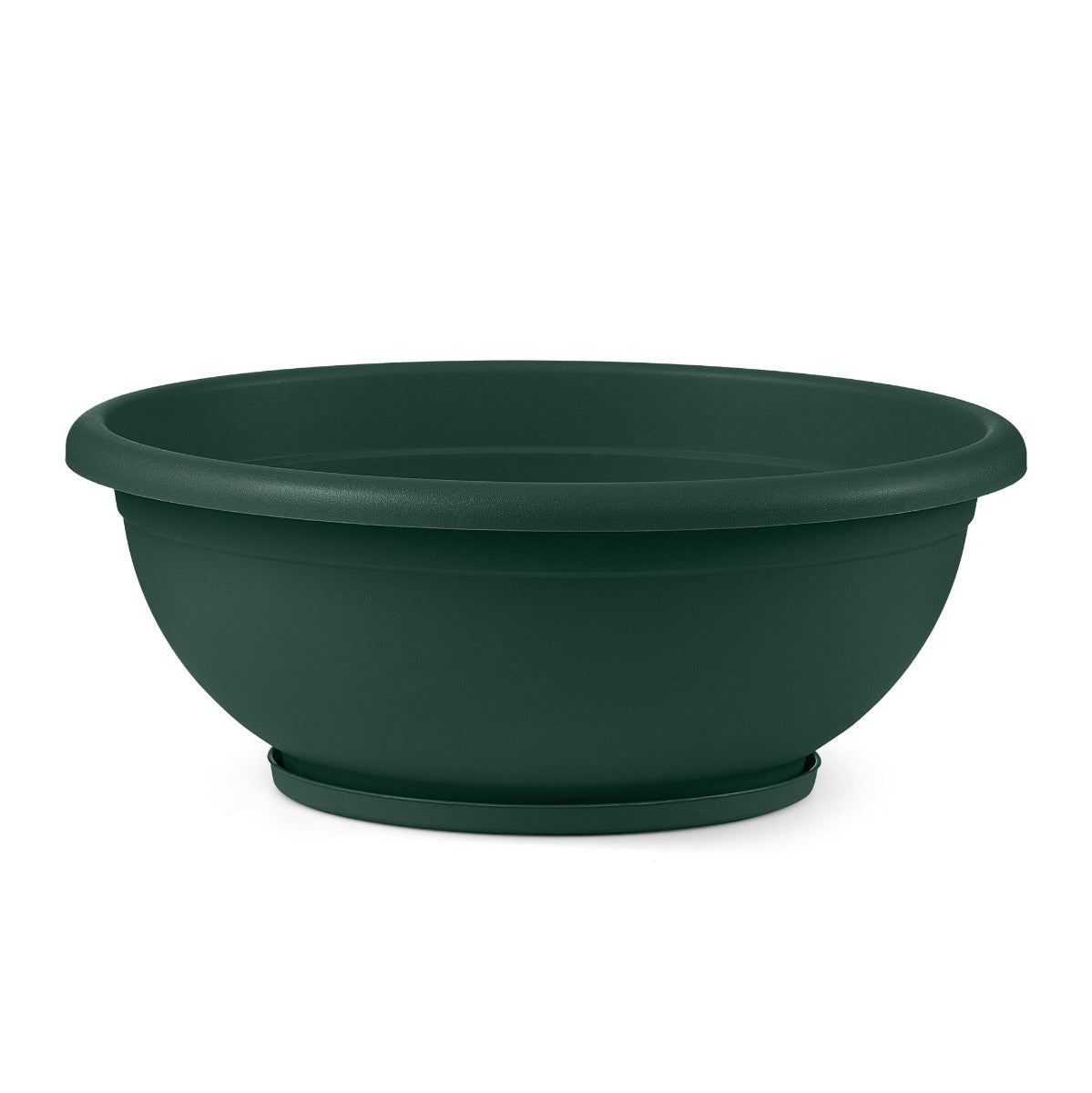 CIOTOLA NAXOS D.30 CM CON SOTTOVASO VERDE BOSCO