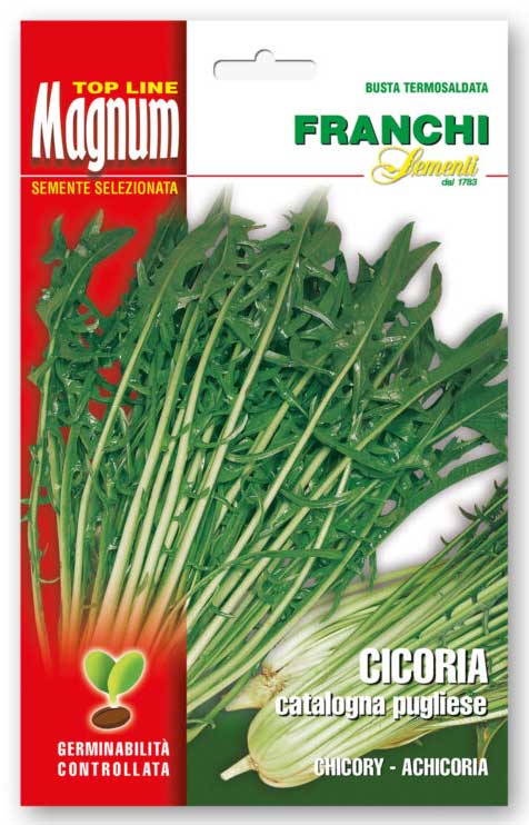 SEMI CICORIA CATALOGNA PUGLIESE