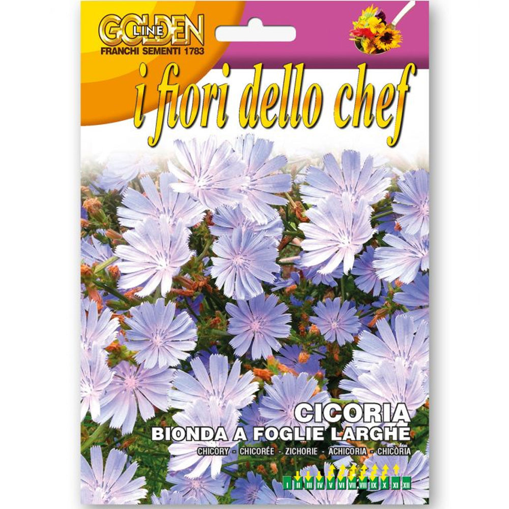 SEMI DI CICORIA BIONDA A FOGLIE LARGHE