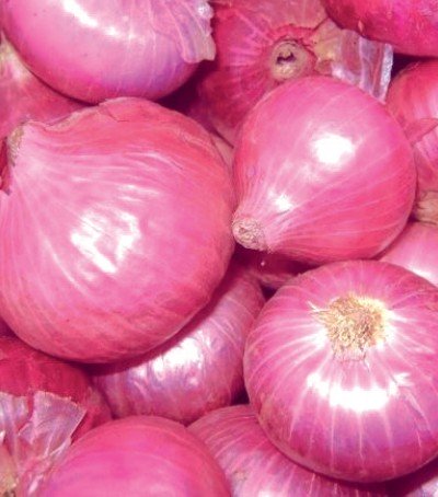 CIPOLLA ROSSA RED BARON 500GR DA INTERRARE