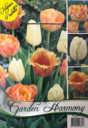 COLLEZIONE 15 BULBI DI TULIPANI ARANCIONE E PASTELLO PER AIUOLE E VASI