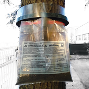 COLLARE CONTRO LE LARVE DI PROCESSIONARIA DEL PINO