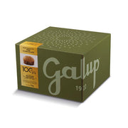 PANETTONE GRAN GALUP ALLE PERE E CIOCCOLATO 750GR