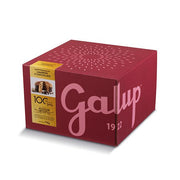 PANETTONE GRAN GALUP CON AMARENE E CIOCCOLATO 750GR