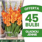 OFFERTA 45 BULBI GLADIOLI GLADDIES JENNIE