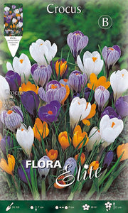 CROCUS VERNUS MIX (CONFEZIONE 10 BULBI)