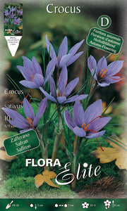 CROCUS SATIVUS (CONFEZIONE DA 10 BULBI)