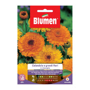 SEMI DI CALENDULA FIORE GRANDE MIX BLUMEN