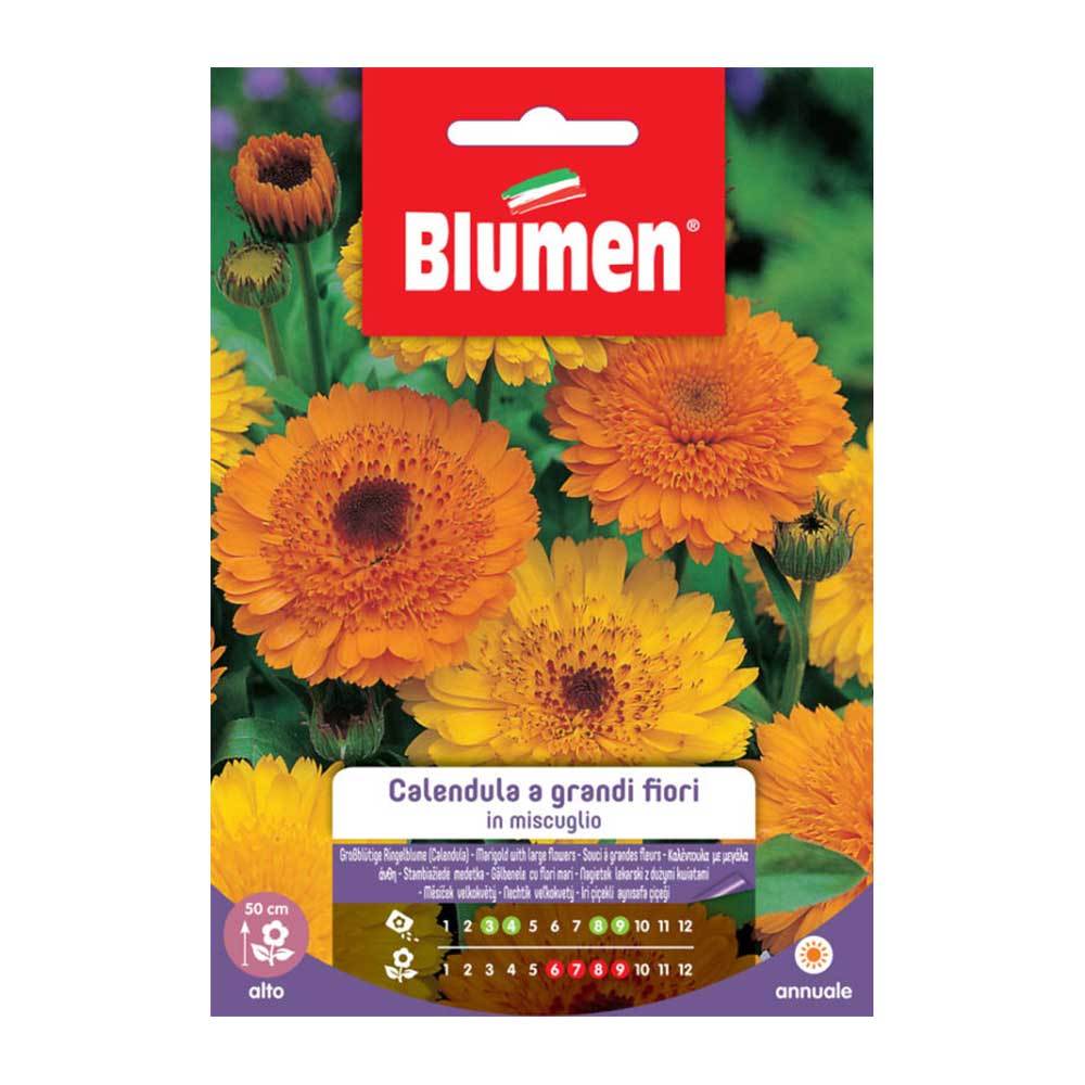SEMI DI CALENDULA FIORE GRANDE MIX BLUMEN