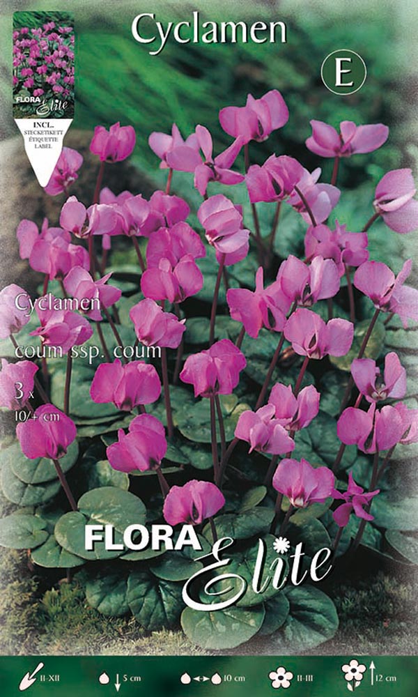 CICLAMINO CYCLAMEN COUM SSP COUM (CONFEZIONE DA 3 BULBI)