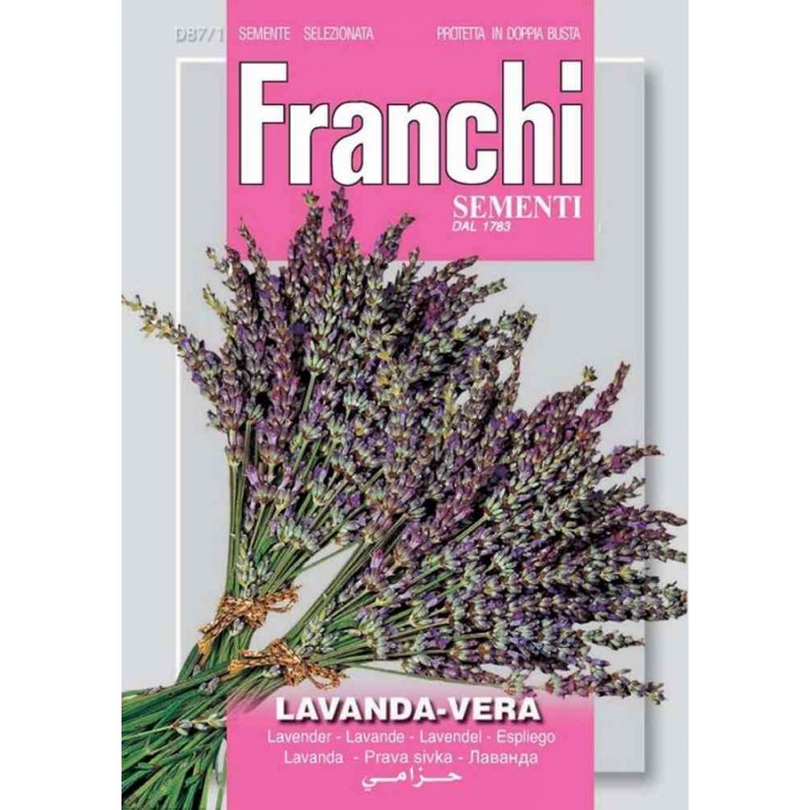 SEMI LAVANDA VERA FRANCHI SEMENTI