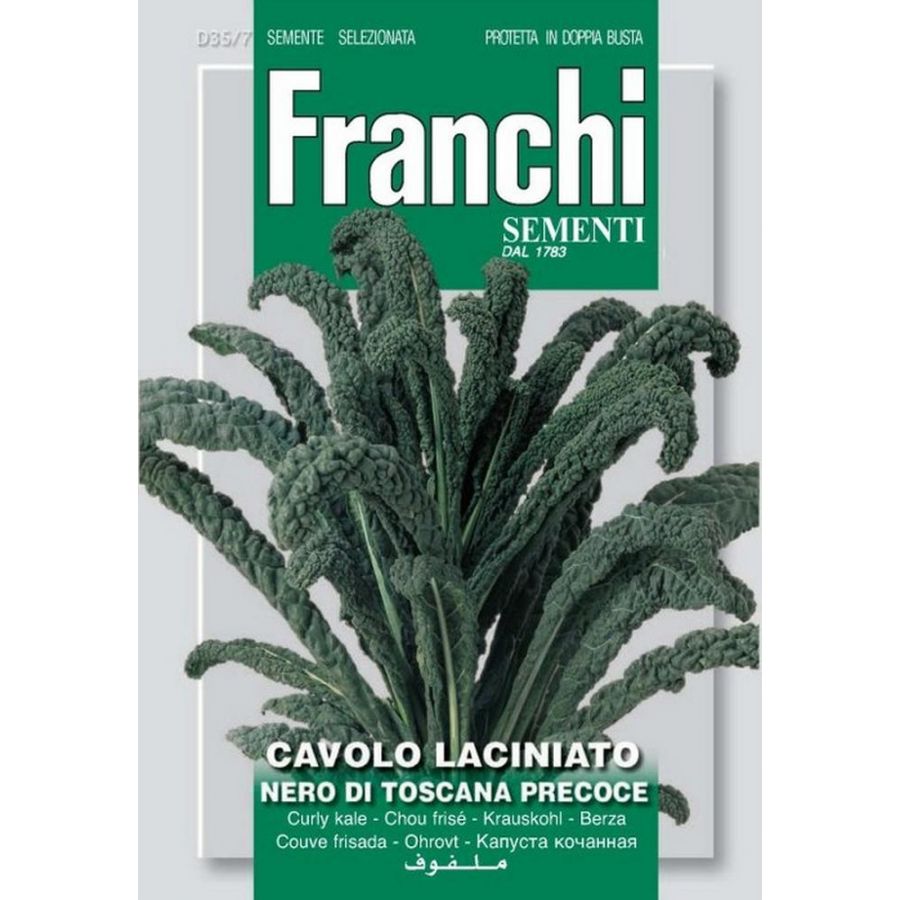 SEMI CAVOLO LACINIATO NERO DI TOSCANA DOPPIA BUSTA