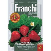 SEMI FRAGOLA 4 STAGIONI FRANCHI SEMENTI