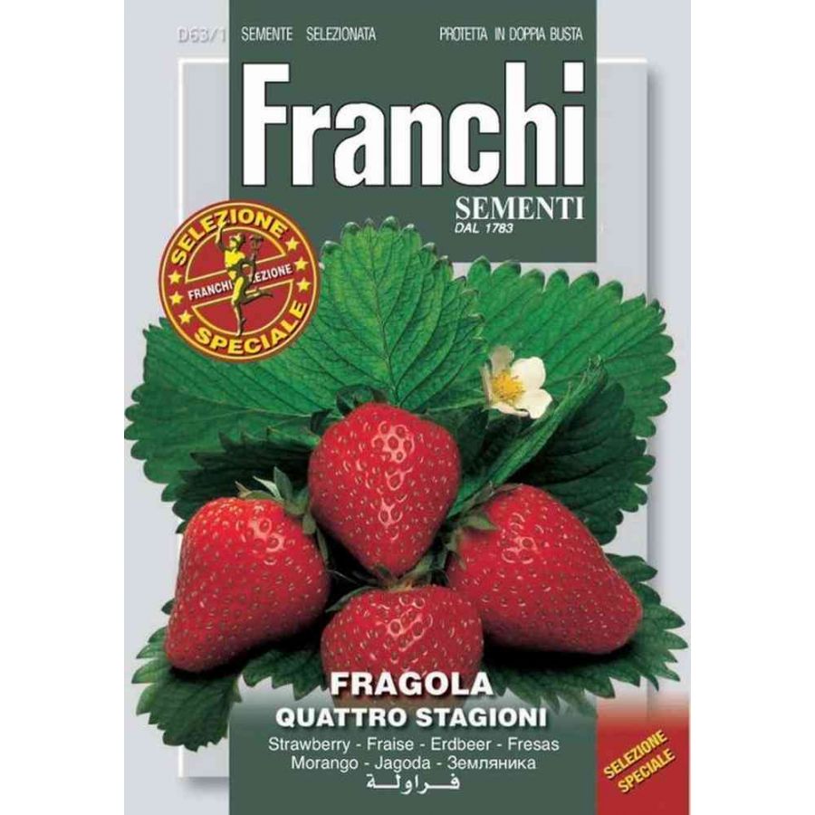SEMI FRAGOLA 4 STAGIONI FRANCHI SEMENTI