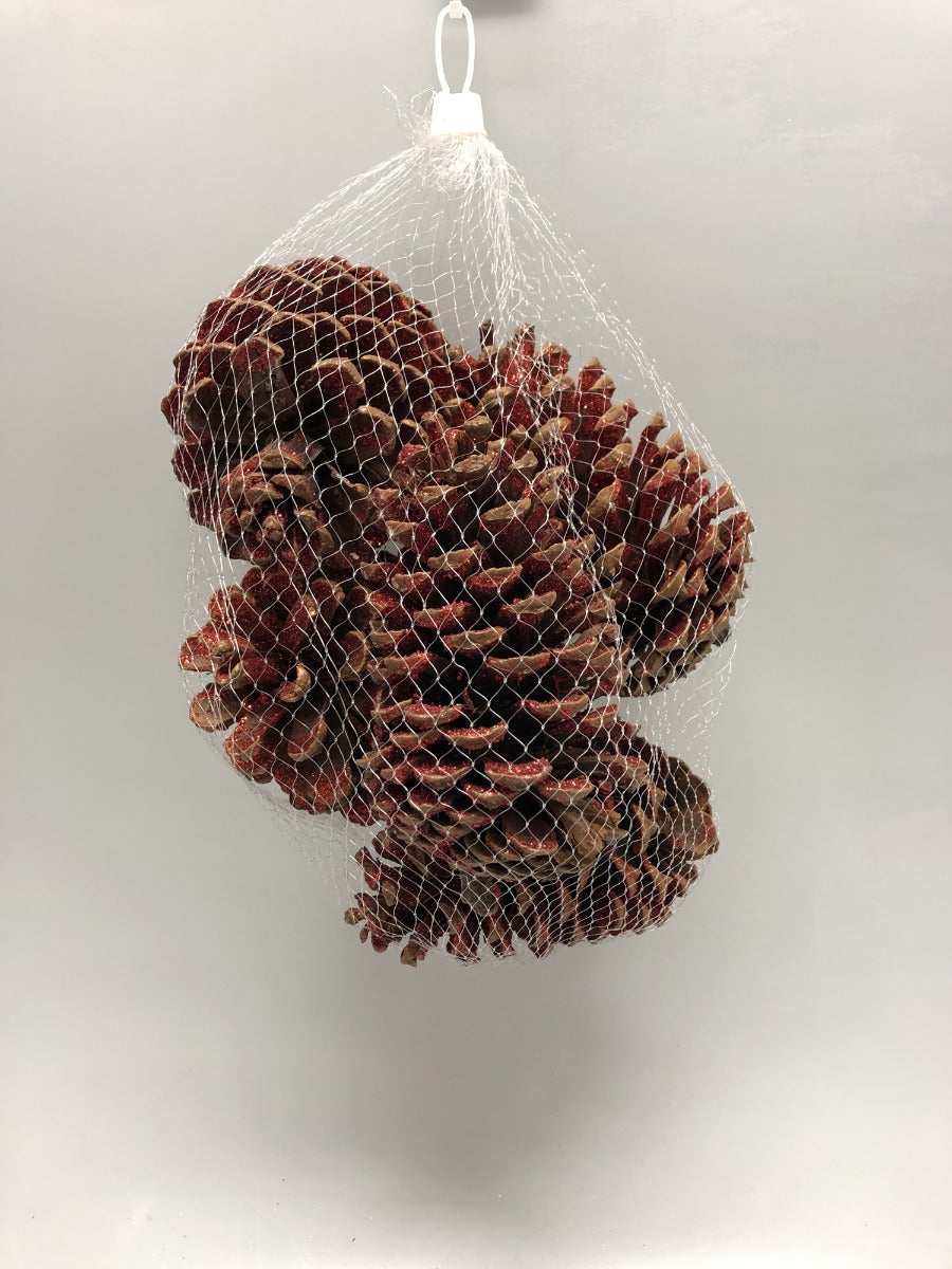 PIGNE ROSSE NATALIZIE ASSORTITE