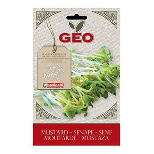 SEMI BIO DI SENAPE PER GERMOGLI 50GR
