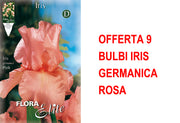 OFFERTA 9 BULBI IRIS GERMANICA ROSA