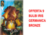 OFFERTA 9 BULBI IRIS GERMANICA BRONZE