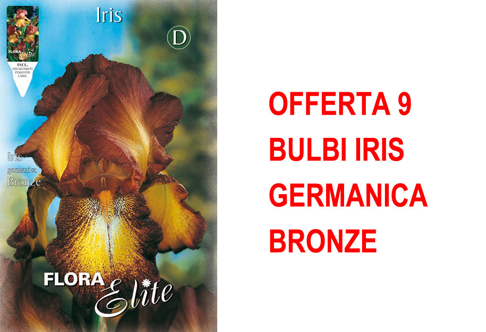 OFFERTA 9 BULBI IRIS GERMANICA BRONZE