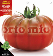 3 PIANTE IN VASO Ø 10CM DI POMODORO COSTOLUTO MARMANDE