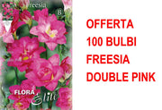 OFFERTA 100 BULBI FREESIA DOUBLE PINK
