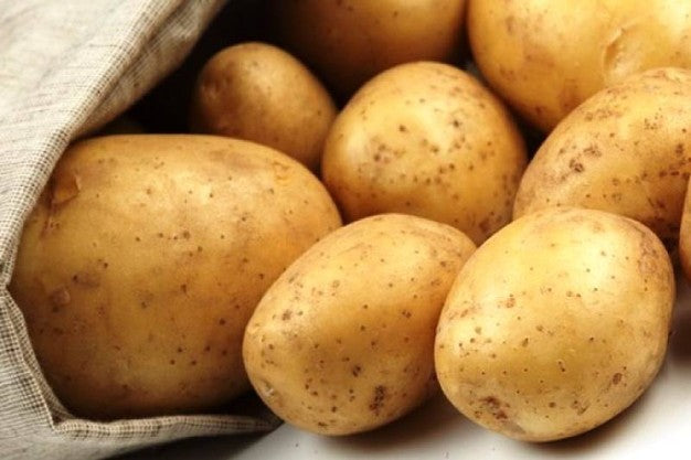 PATATE LONGEVA DA SEMINARE (CONFEZIONE DA 1.5KG)