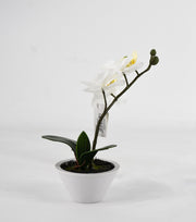 PHALAENOPSIS ORCHIDEA ARTIFICIALE 22CM BIANCA
