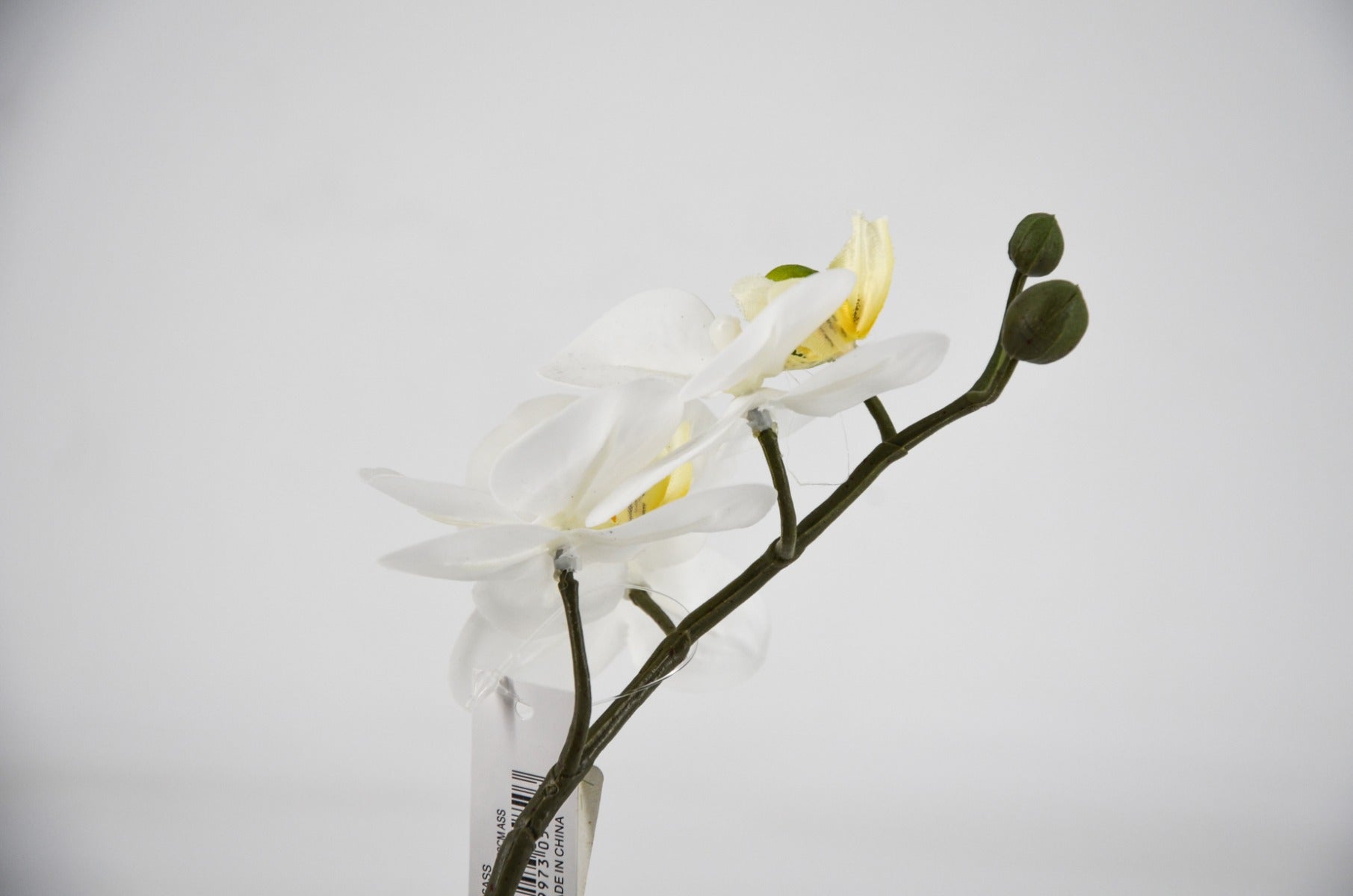 PHALAENOPSIS ORCHIDEA ARTIFICIALE 22CM BIANCA