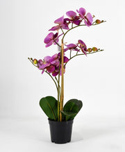 PHALAENOPSIS ORCHIDEA ARTIFICIALE 50CM VIOLA