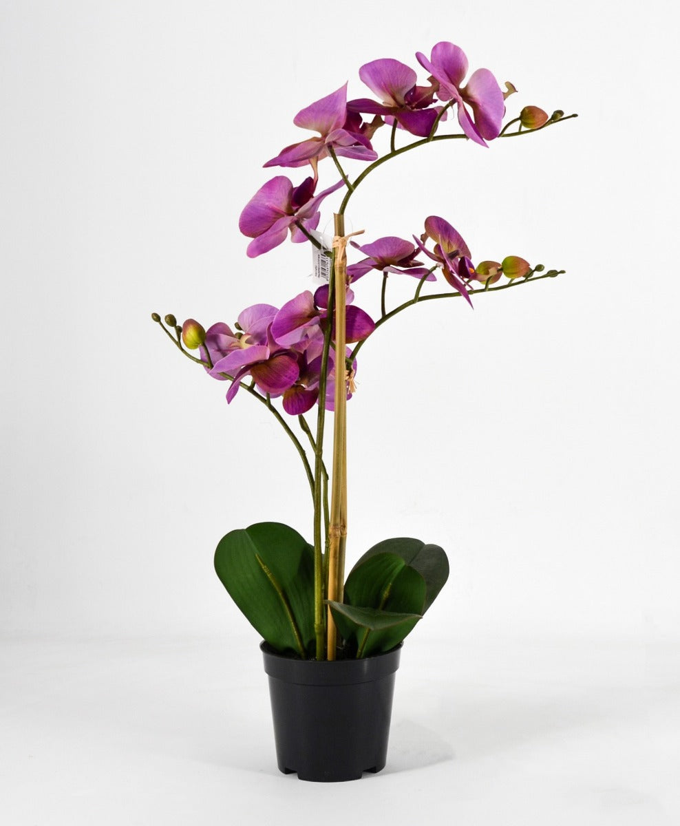 PHALAENOPSIS ORCHIDEA ARTIFICIALE 50CM VIOLA