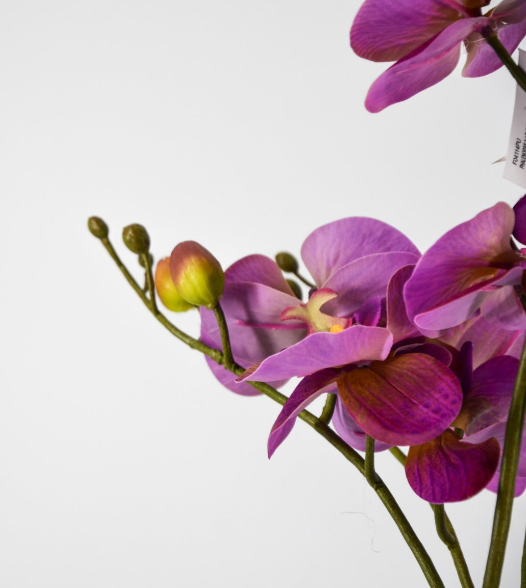 PHALAENOPSIS ORCHIDEA ARTIFICIALE 50CM VIOLA