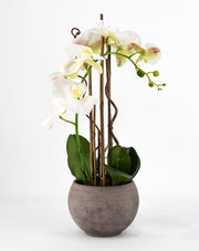 PHALAENOPSIS ORCHIDEA ARTIFICIALE 50CM CON VASO OVALE BIANCA