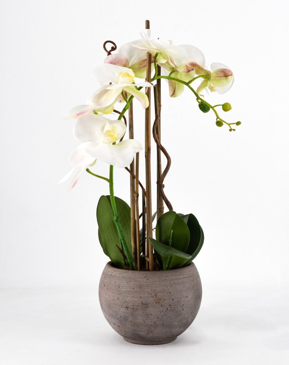 PHALAENOPSIS ORCHIDEA ARTIFICIALE 50CM CON VASO OVALE BIANCA