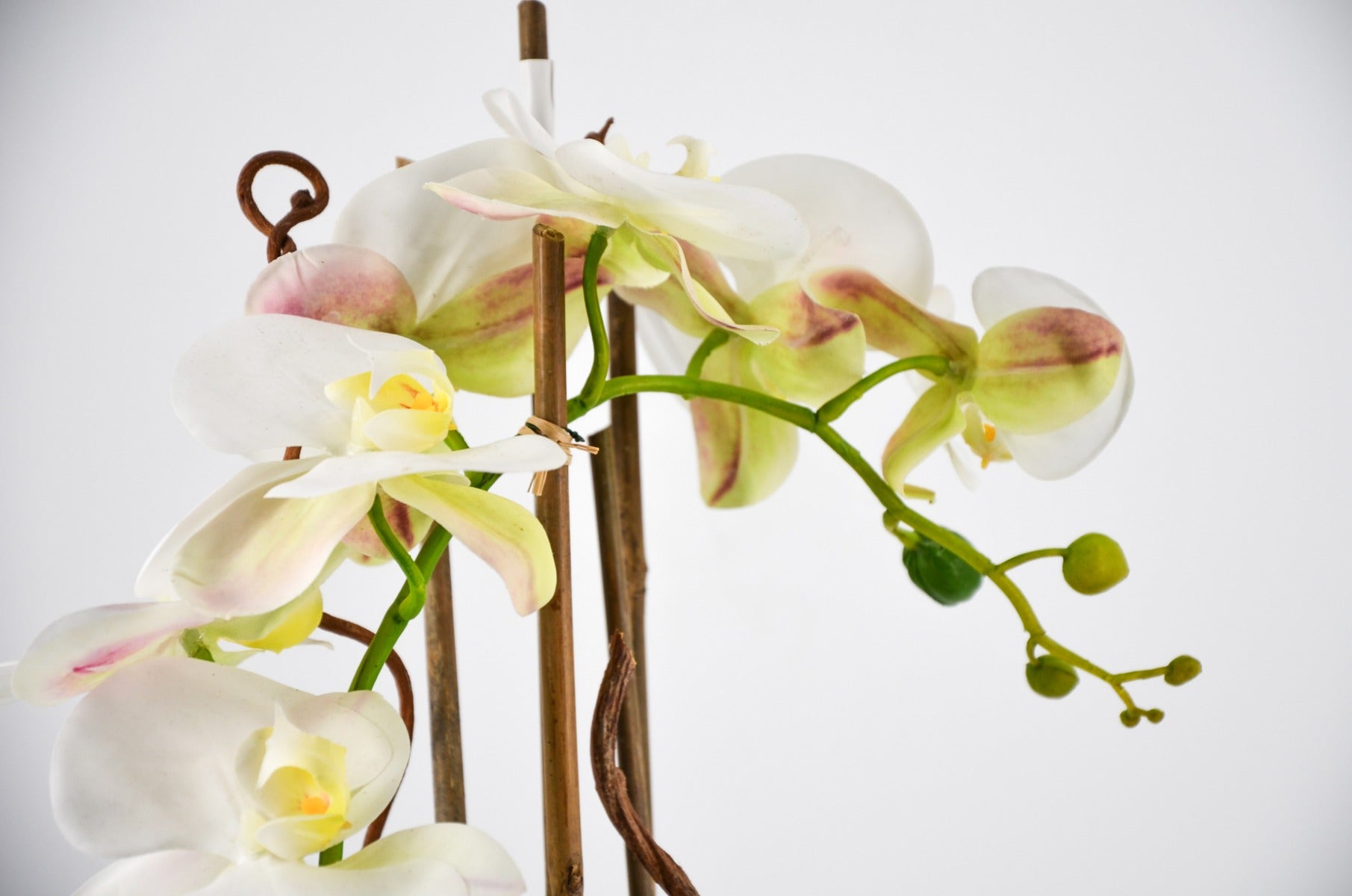 PHALAENOPSIS ORCHIDEA ARTIFICIALE 50CM CON VASO OVALE BIANCA