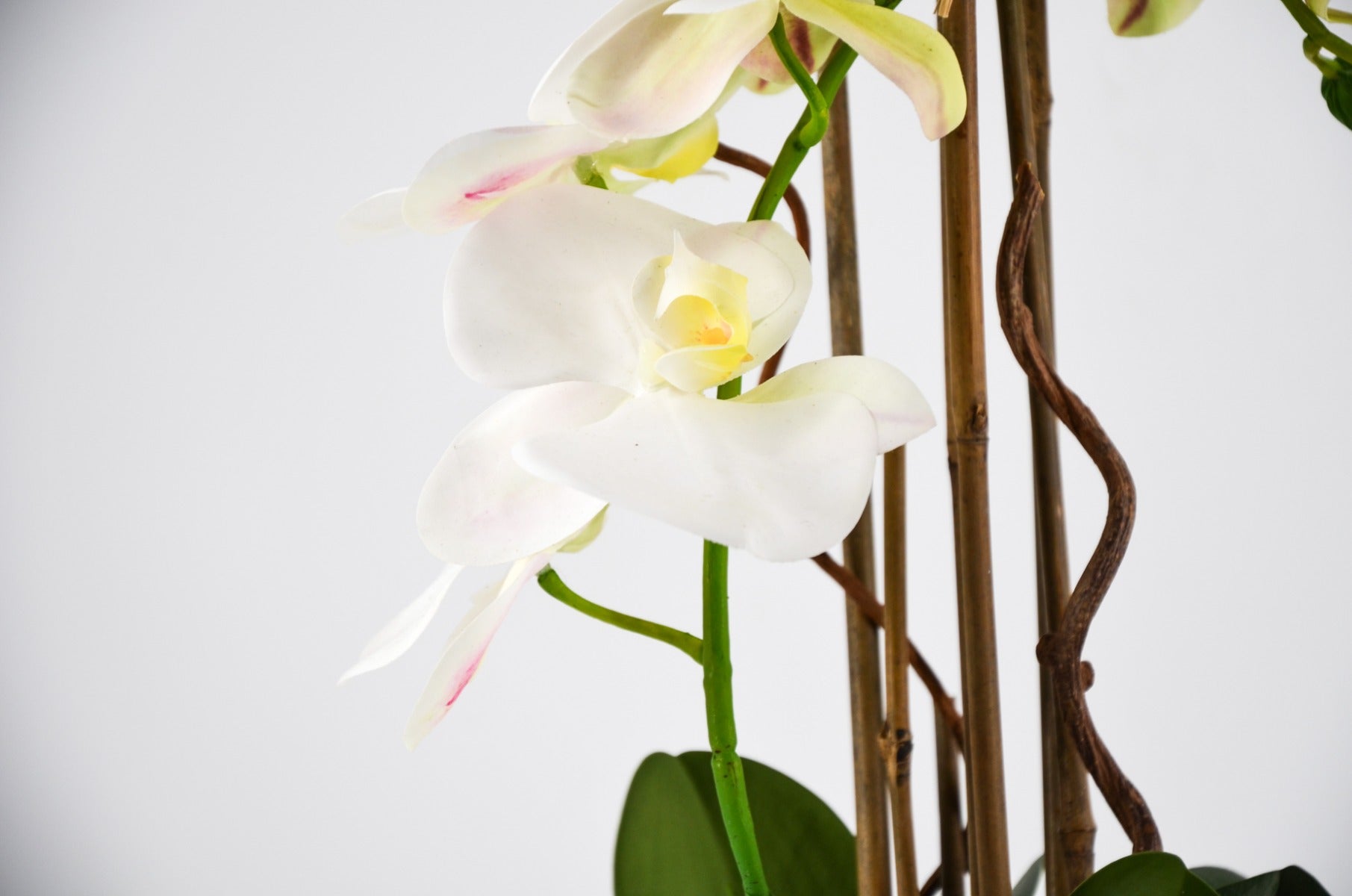 PHALAENOPSIS ORCHIDEA ARTIFICIALE 50CM CON VASO OVALE BIANCA