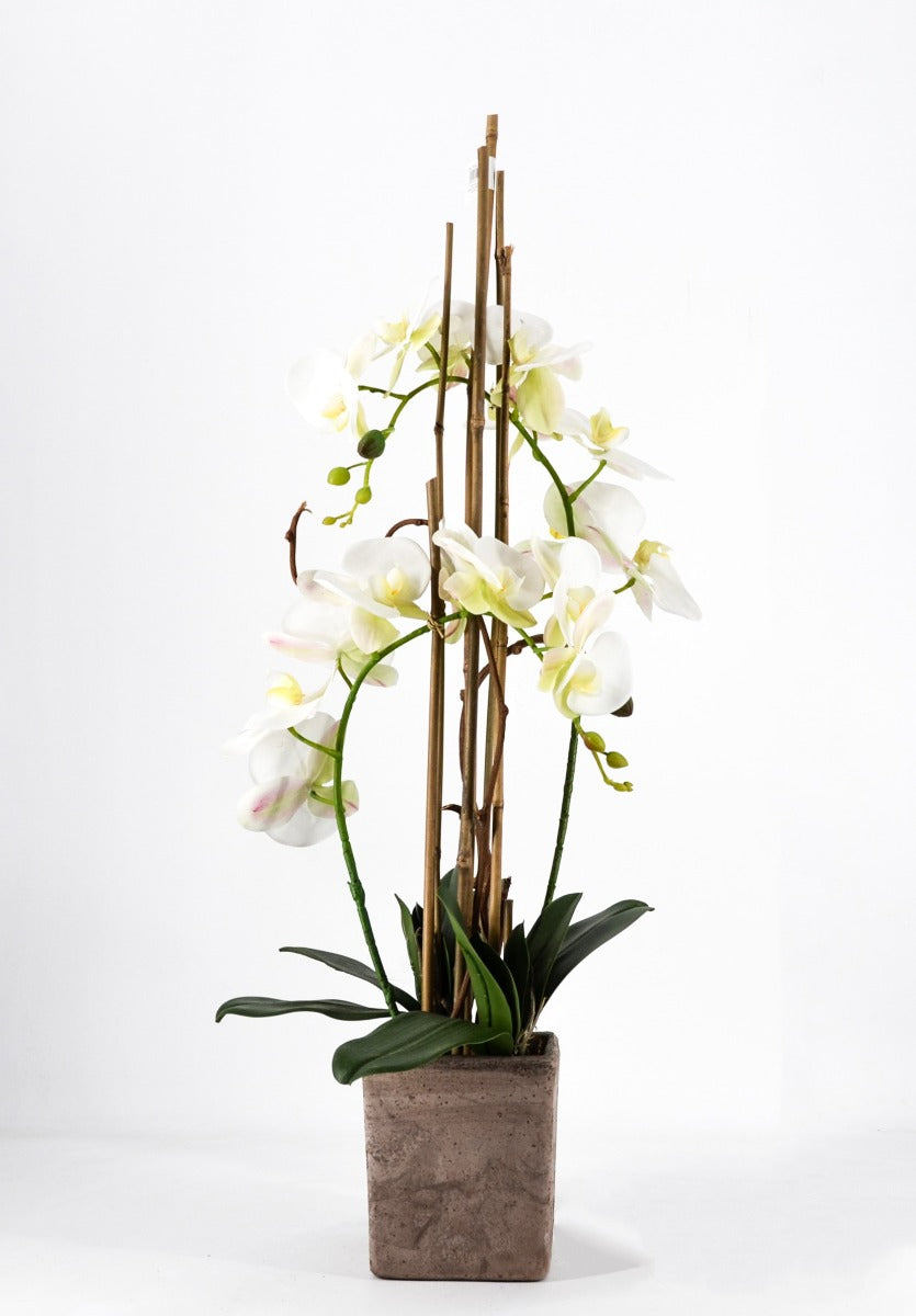 PHALAENOPSIS ORCHIDEA ARTIFICIALE 80CM CON VASO QUADRATO BIANCA