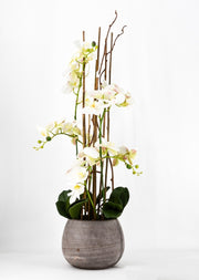 PHALAENOPSIS ORCHIDEA ARTIFICIALE 100CM CON VASO OVALE BIANCA