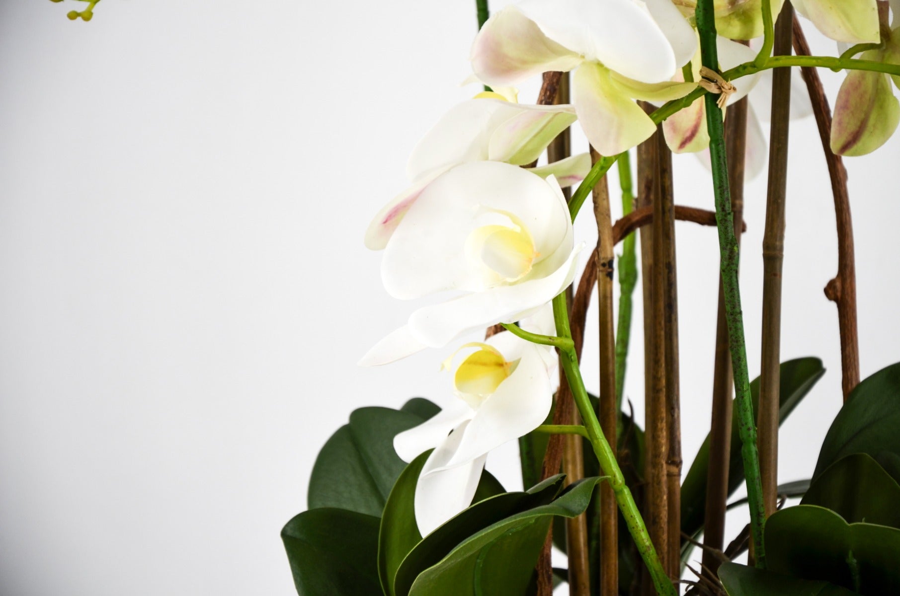 PHALAENOPSIS ORCHIDEA ARTIFICIALE 100CM CON VASO OVALE BIANCA
