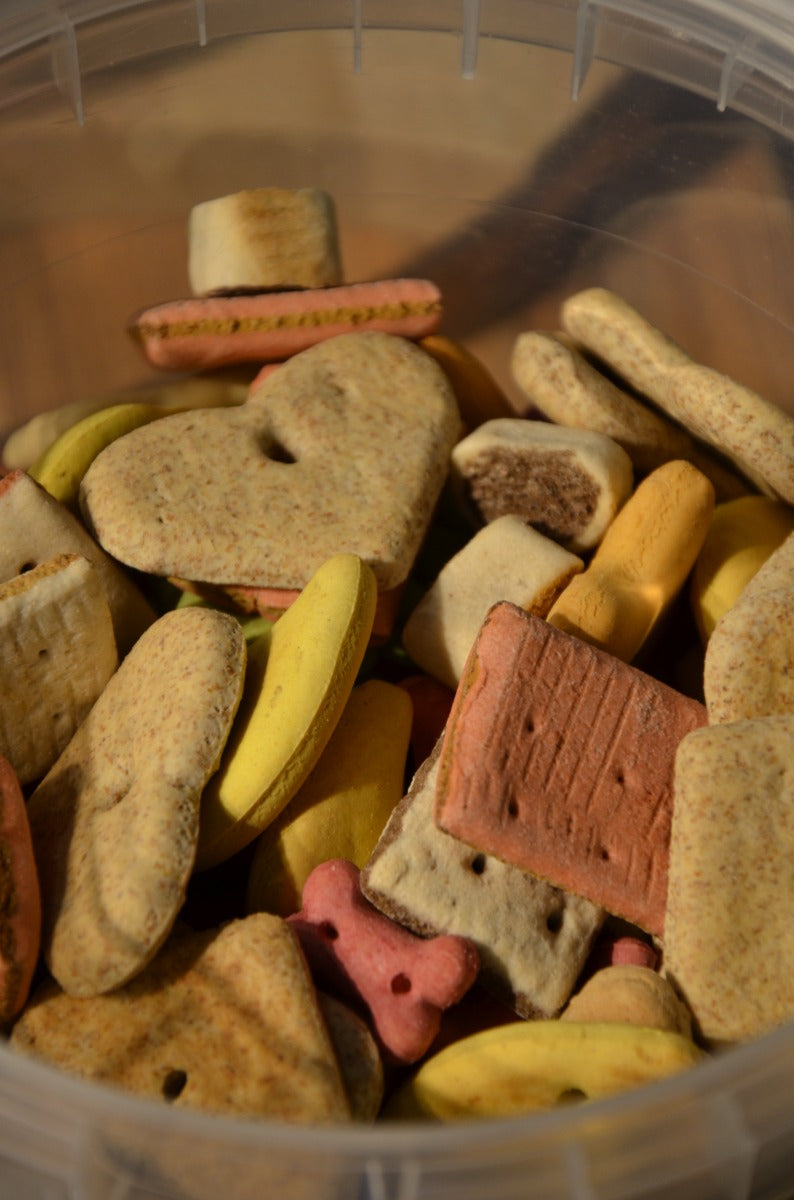 BISCOTTI IN MIX DI ALTA QUALITA' PER CANI SECCHIELLO DA 2KG