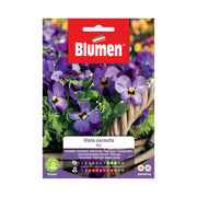 SEMI VIOLA CORNUTA BLU BLUMEN