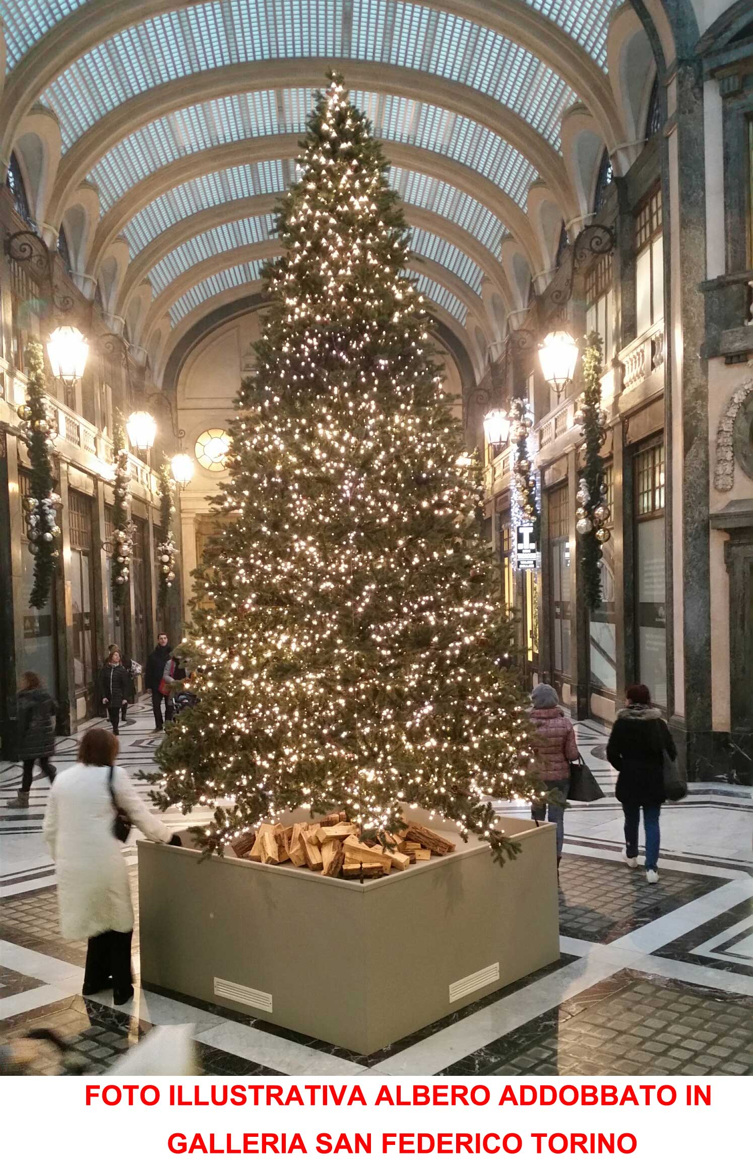 ALBERO DI NATALE ABETE CON PIGNE 480CM