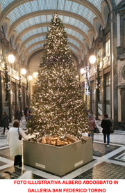 ALBERO DI NATALE ABETE CON PIGNE 480CM