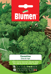 SEMI DI CIMA DI RAPA NOVANTINA